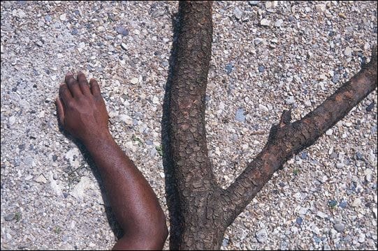 Barthélémy TOGUO, Une autre vie, 1996 -2000 **