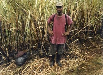 Zwelethu MTHETHWA, Untitled from Sugar Cane Series N°2, 2004/2006