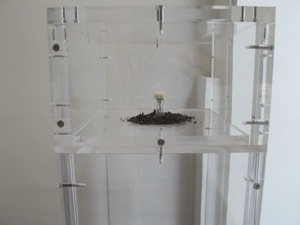 Hicham BERRADA, Bloom (cage), 2012*