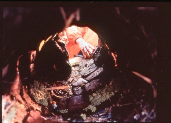 Deborah Mesa Pelly, Well, 1999 *