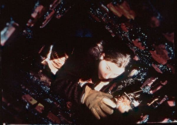 Deborah Mesa Pelly, Pest Control, 1999 *