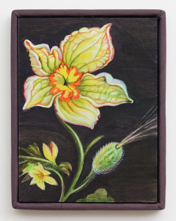 Alina BLIUMIS, Exploding Cucumber, série Plant Parenthood, 2022