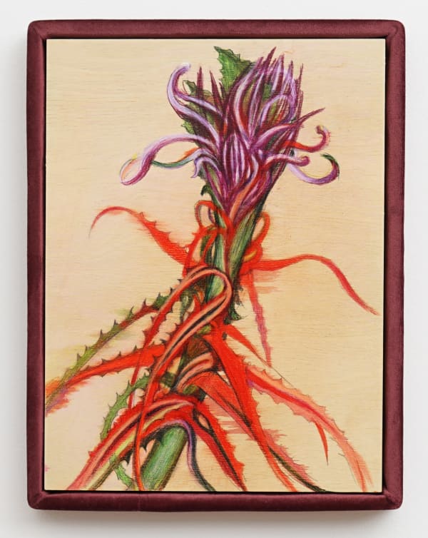 Alina BLIUMIS, Bromelia Pinguin, série Plant Parenthood, 2022