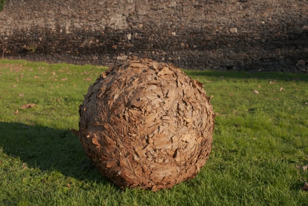 Pelote