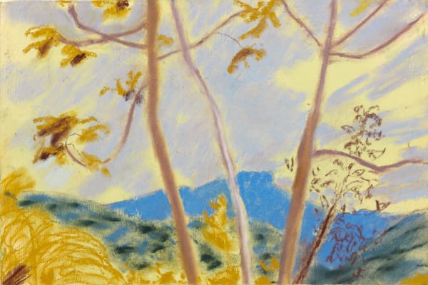 Sammi Lynch Warm and Damp, 2025 pastel on paper 20 x 29.5 cm