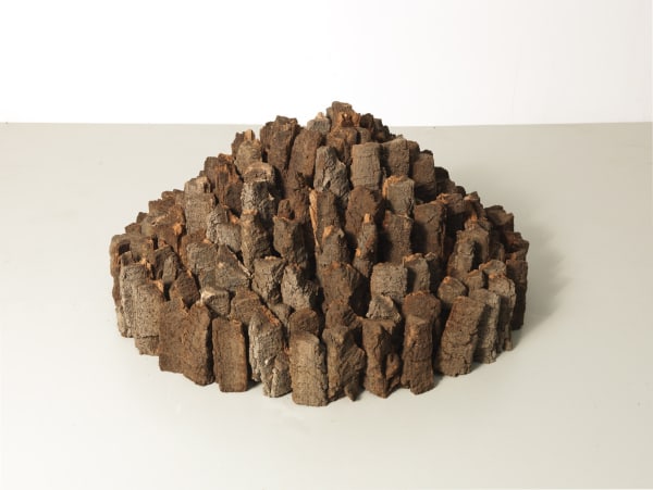 David Nash Ash Bark Dome, 2017 Ash bark 31 x 87 x 76 cm