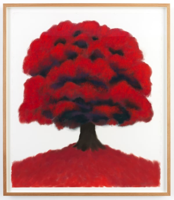 David Nash Red Tree, 2023 pigment on paper 120.5 x 103 cm
