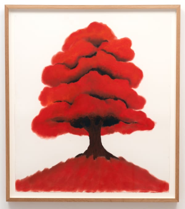 David Nash Red Tree, 2023 pastel on paper 103 x 90 cm