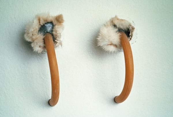 Lucia Nogueira, Untitled, 1989