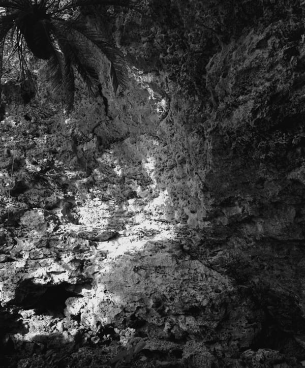 Awoiska van der Molen, #451-9, 2016