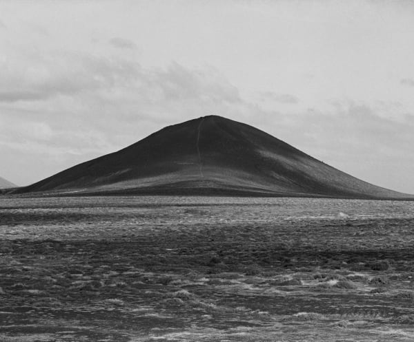 Awoiska van der Molen, #245-18, 2010