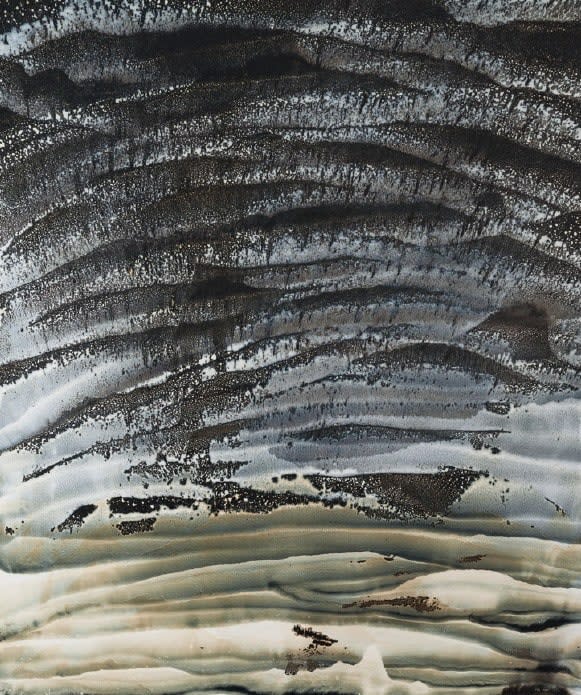 Roberto Coda Zabetta, Merda Gialla, 2016