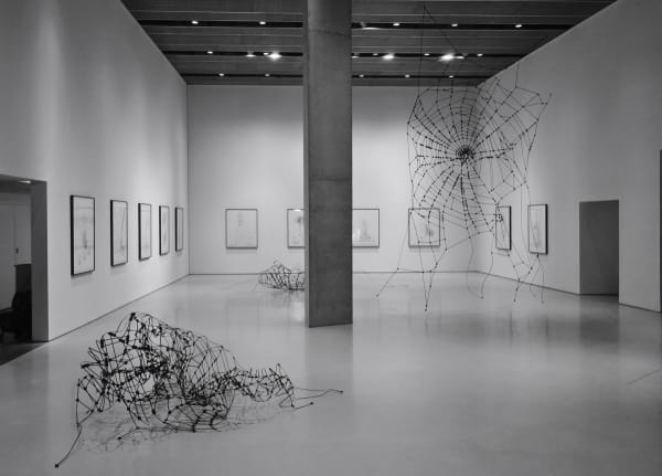 Carlos Amorales, Transformable Spider Web, 2008-2011