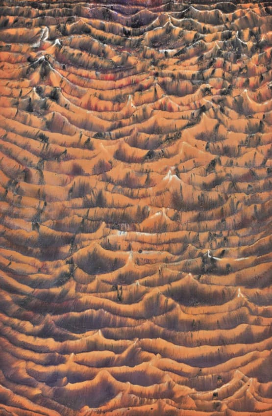 Roberto Coda Zabetta, Film#08, 2014