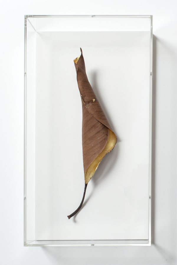 Sarah van Sonsbeeck, Gold leaf (sometimes to not do nothing I do something) #3, 2014