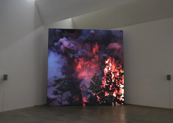 David Claerbout, Wildfire (meditation on fire), 2019-2020