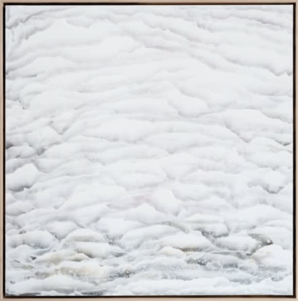 Roberto Coda Zabetta, Merda Bianca, 2016