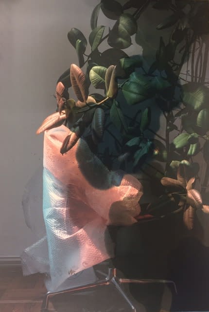 David Maljkovic, All Day All Year, 2016-17