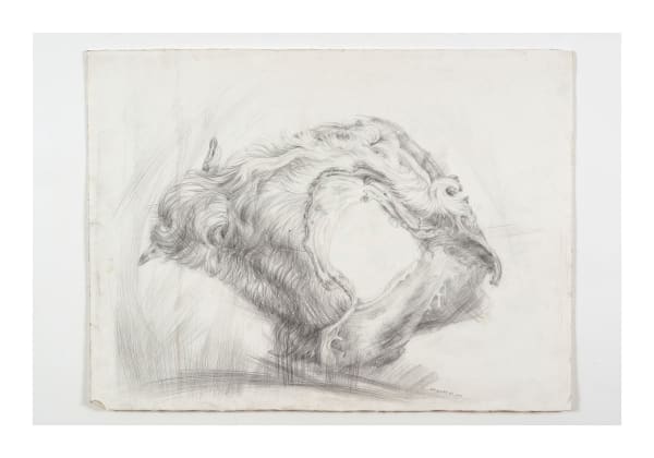 Drawings, Eye Socket, 2000