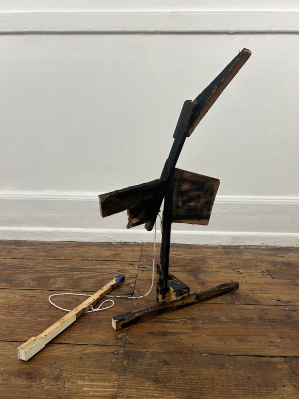 Bob & Roberta Smith, Bird, 2024