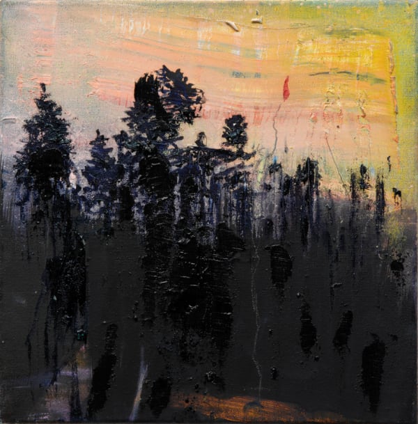 Elizabeth Magill, South West of Orion, 2007
