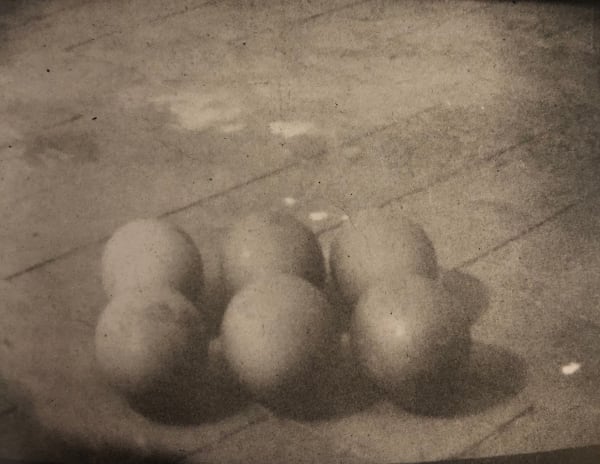 Steven Pippin, Eggs (laid before fridge), 1982