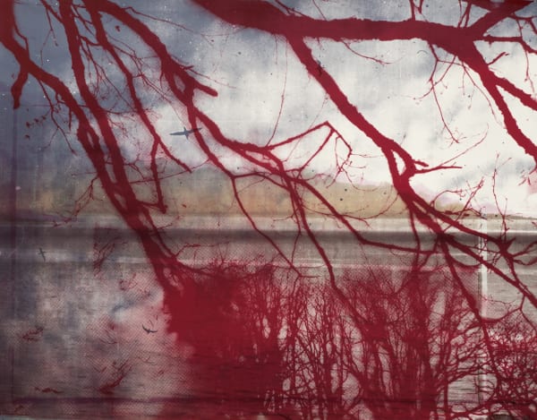 Elizabeth Magill, Headland (2), 2017