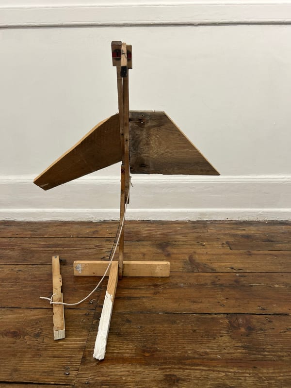 Bob & Roberta Smith, Bird, 2024