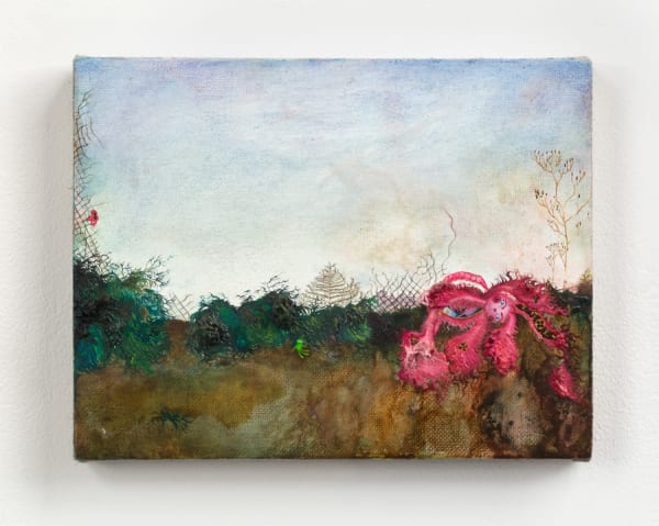 Anj Smith, Nepenthes Alpina, 2004