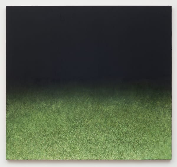 Jonathan Wateridge, Night Grass, 2014