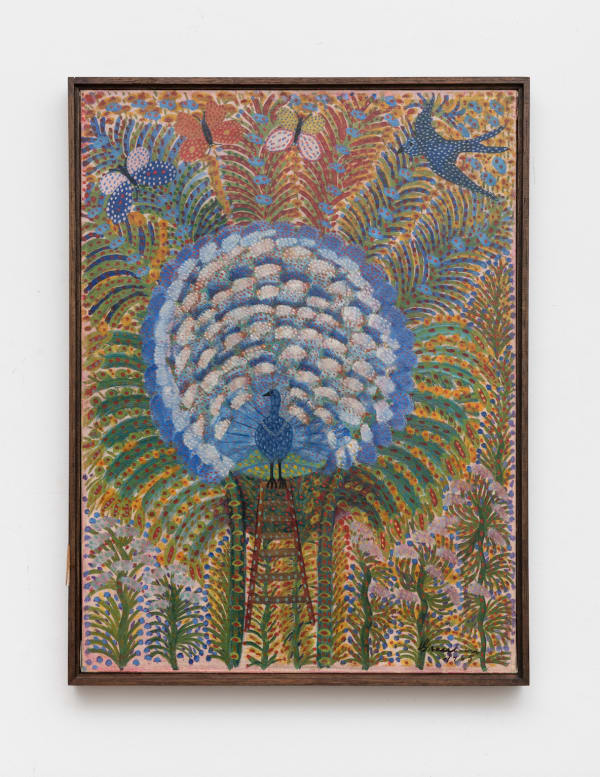 Grauben do Monte Lima, Pavão, 1965