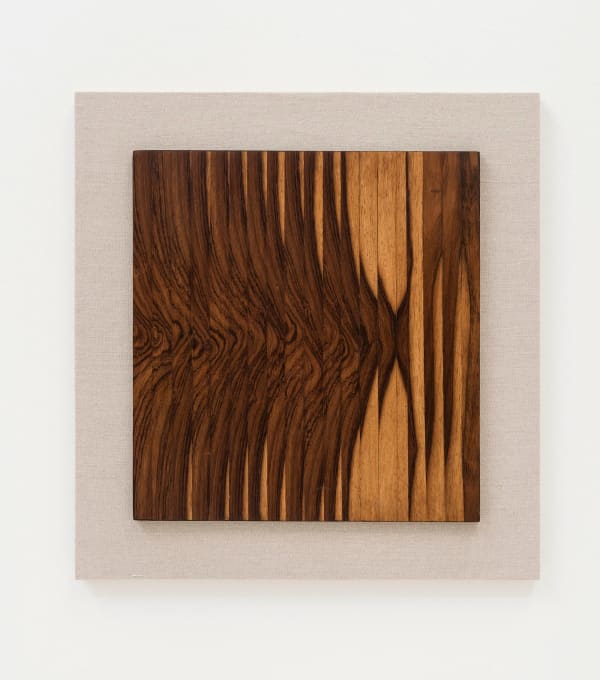 Abraham Palatnik, Progressão, 1965