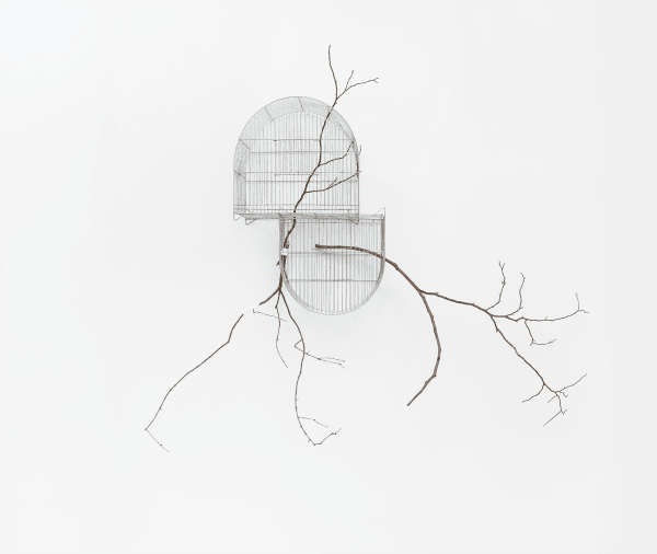 Isadora Soares Belletti, Experimentos para uma estação de cura (autorretrato) [Experiments for a healing station (self-portrait)], 2023/2025
