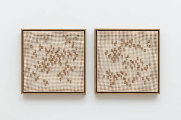 Fabiana Preti, Borboletário 01, da série Bordados [Borboletário 01, from the series Bordados], 2023