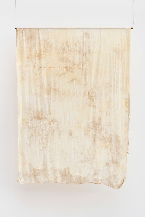 Bianca Madruga, Nancy II, da série [from the series] Testemunhar sem língua [Witnessing Without a Tongue], 2024