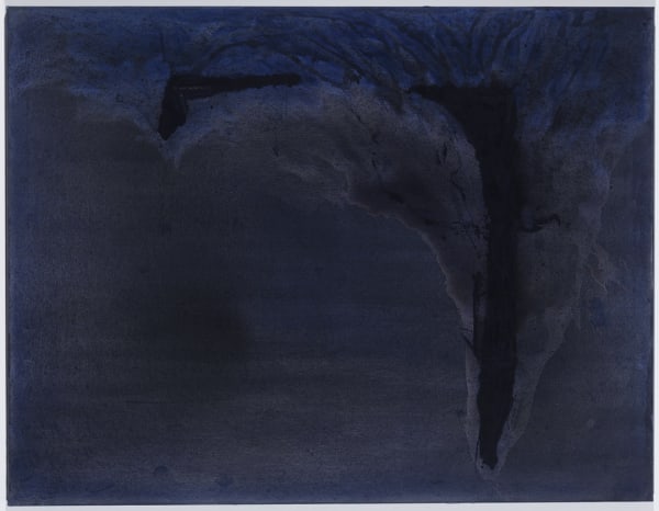 Sergej Jensen Untitled, 2011