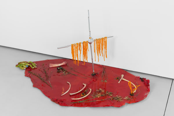 Yuli Yamagata Tomato Spaghetti Puddle, 2024