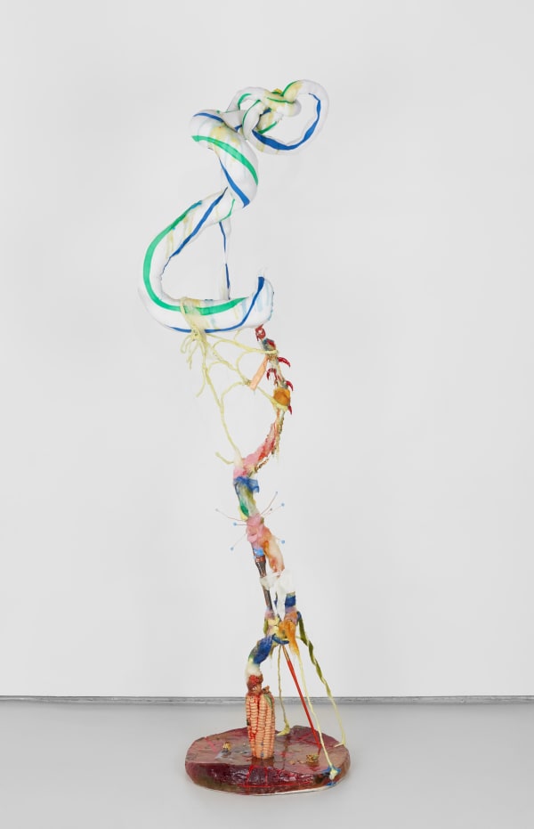 Yuli Yamagata Colgate, 2021