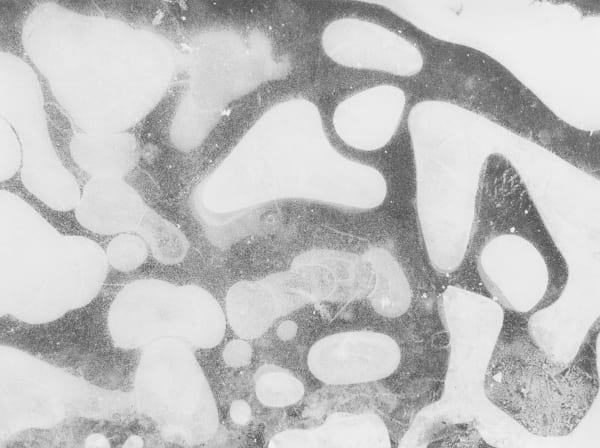 Jochen Lempert Eisoberfläche (Ice Surface), 2024