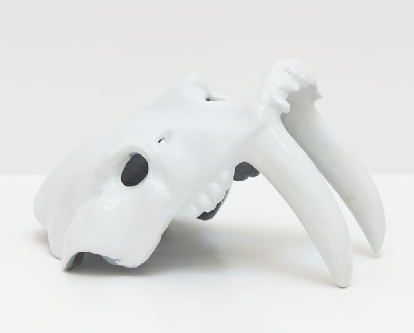 Will Boone Tiger Skull, 2021