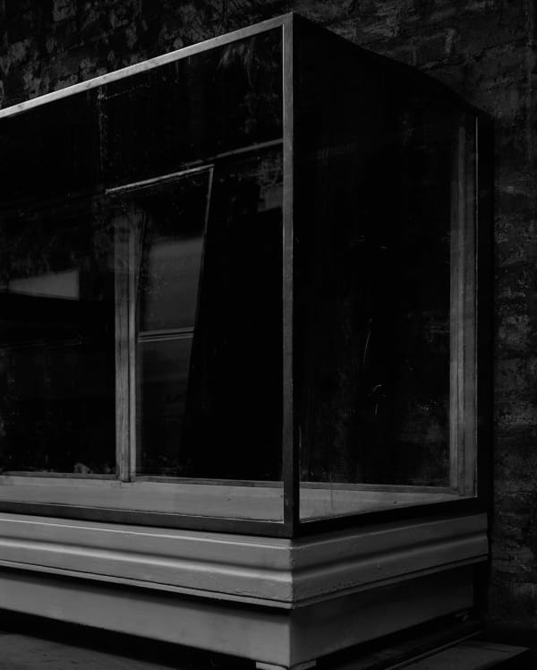 Sarah Jones Vitrine (I/II), 2014