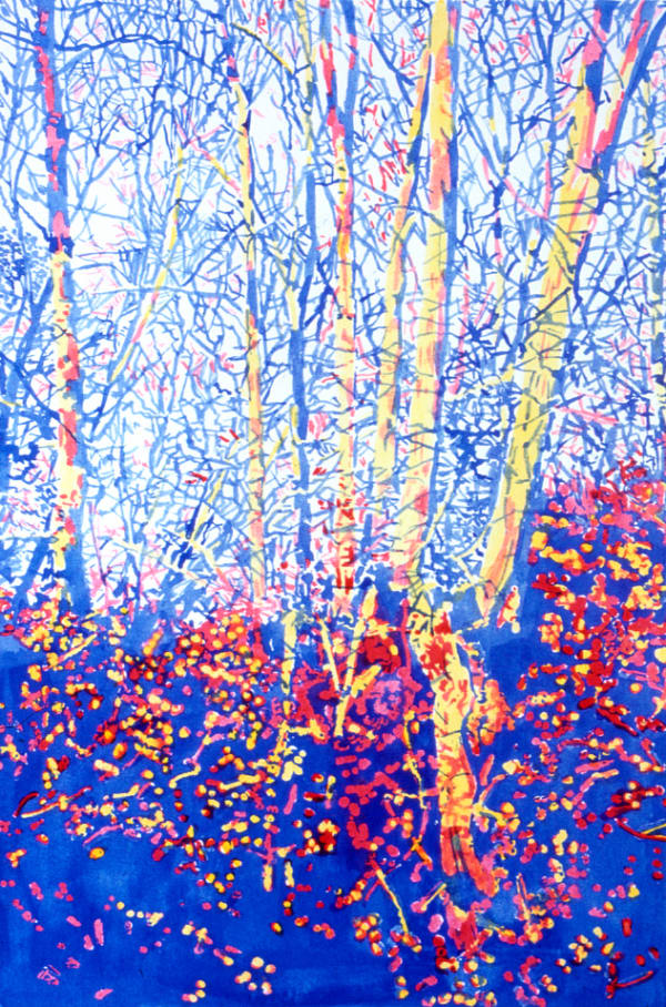 Angus Fairhurst Primary Forest 5, 1998