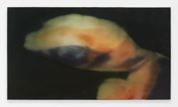 Artwork by Eberhard Havekost titled “Wesen"