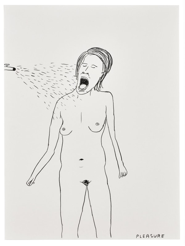 David Shrigley, Life Drawing (Pleasure), 2016