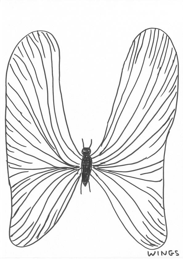 David Shrigley Untitled, 2017