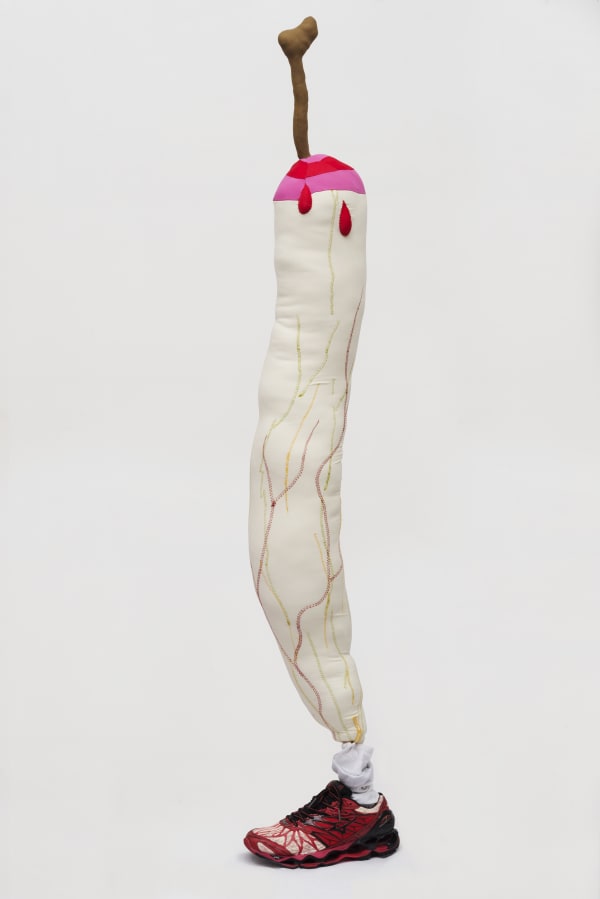 Yuli Yamagata, Perna Robô, 2019