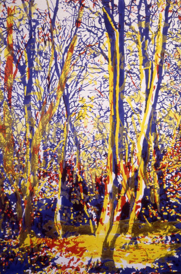 Angus Fairhurst Primary Forest 10, 1998