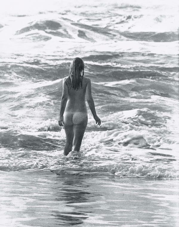 Anne Collier Positive (California), 2016