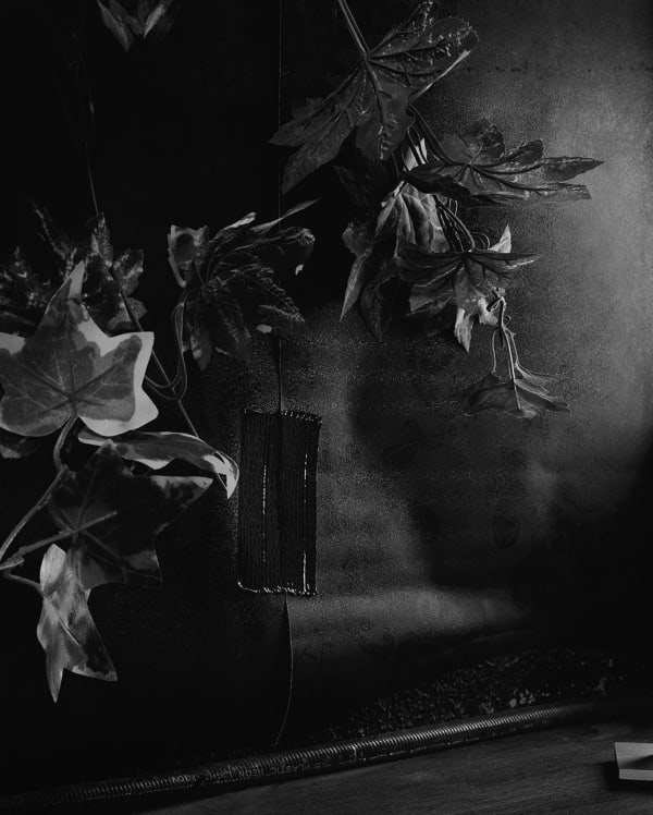 Sarah Jones Cabinet (I) (Ivy/Trail), 2012