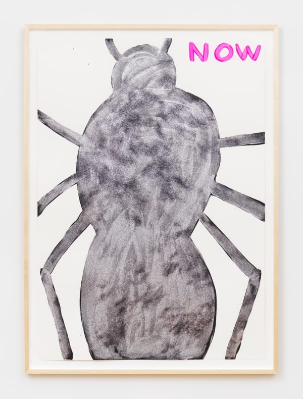 David Shrigley Untitled (Now Bug), 2019